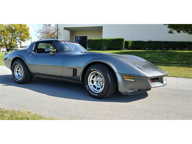 1981 Chevrolet Corvette (CC-1670281) for sale in Hudson, Florida