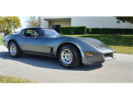 1981 Chevrolet Corvette (CC-1670281) for sale in Hudson, Florida