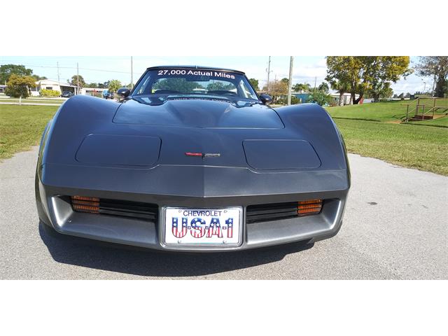 1981 Chevrolet Corvette (CC-1670281) for sale in Hudson, Florida