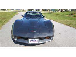 1981 Chevrolet Corvette (CC-1670281) for sale in Hudson, Florida