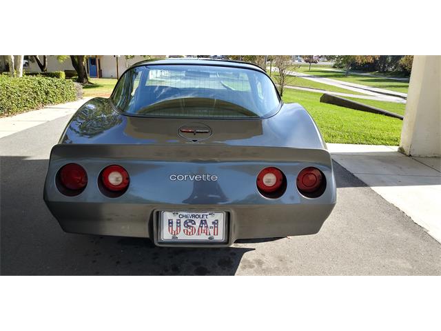 1981 Chevrolet Corvette (CC-1670281) for sale in Hudson, Florida