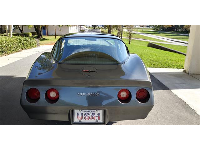 1981 Chevrolet Corvette (CC-1670281) for sale in Hudson, Florida