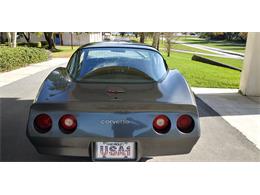 1981 Chevrolet Corvette (CC-1670281) for sale in Hudson, Florida