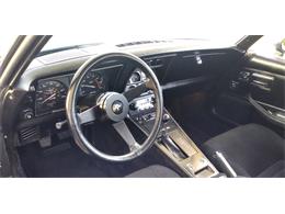 1981 Chevrolet Corvette (CC-1670281) for sale in Hudson, Florida