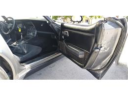 1981 Chevrolet Corvette (CC-1670281) for sale in Hudson, Florida