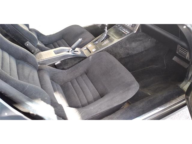 1981 Chevrolet Corvette (CC-1670281) for sale in Hudson, Florida