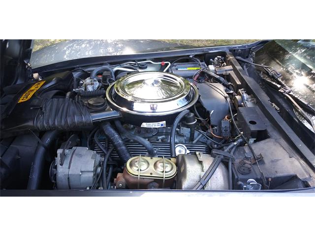 1981 Chevrolet Corvette (CC-1670281) for sale in Hudson, Florida