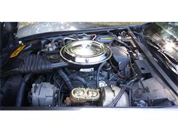 1981 Chevrolet Corvette (CC-1670281) for sale in Hudson, Florida