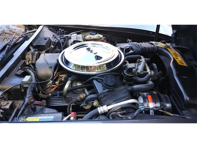 1981 Chevrolet Corvette (CC-1670281) for sale in Hudson, Florida