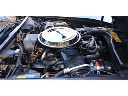 1981 Chevrolet Corvette (CC-1670281) for sale in Hudson, Florida