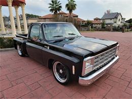 1980 Chevrolet C10 (CC-1672931) for sale in Conroe, Texas