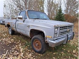 1985 Chevrolet Pickup (CC-1672964) for sale in THIEF RIVER FALLS, Minnesota