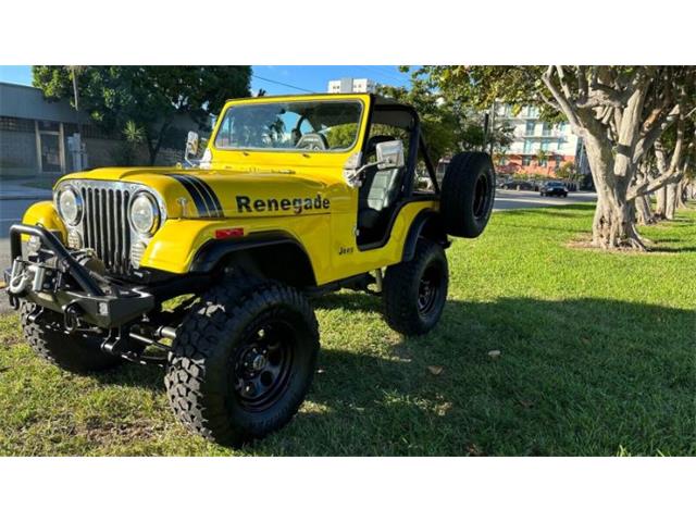 1976 Jeep CJ (CC-1673019) for sale in Cadillac, Michigan