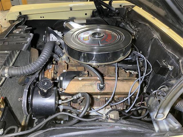 1965 Oldsmobile 442 (CC-1673107) for sale in Ham Lake, Minnesota
