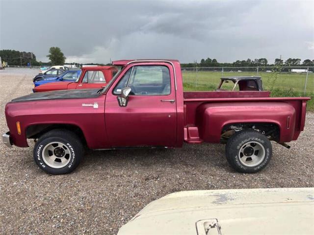 1978 Chevrolet C10 (CC-1673254) for sale in Hobart, Indiana