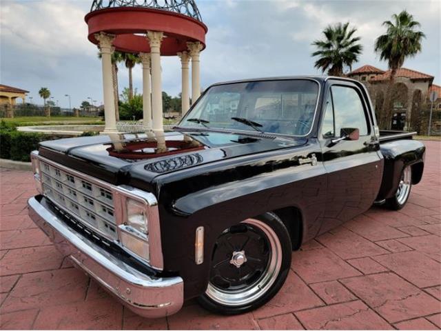 1980 Chevrolet C10 for Sale | ClassicCars.com | CC-1673259