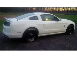 2013 Shelby Mustang (CC-1673261) for sale in Hobart, Indiana