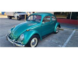 1965 Volkswagen Beetle (CC-1673316) for sale in Cadillac, Michigan