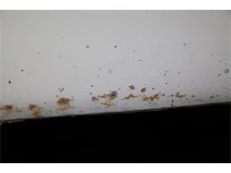 1977 Dodge Charger (CC-1673554) for sale in Morgantown, Pennsylvania