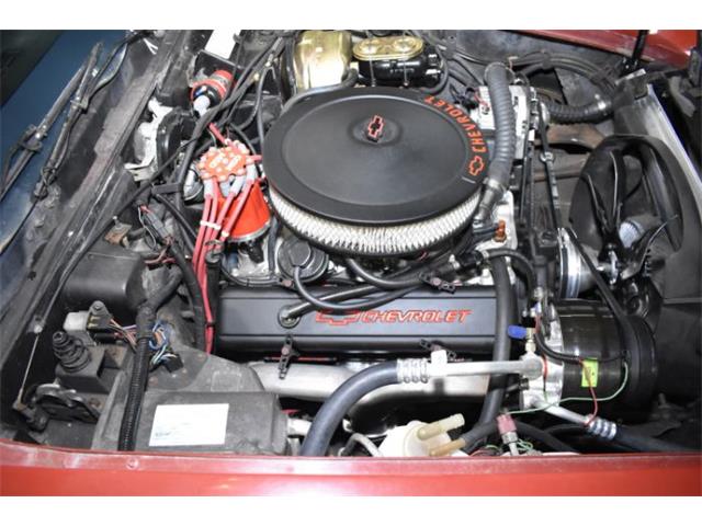 1977 Chevrolet Corvette (CC-1673588) for sale in Cadillac, Michigan