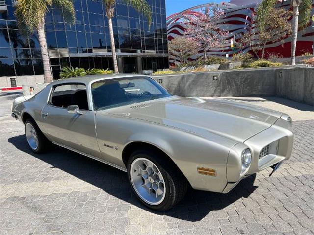 1973 Pontiac Firebird (CC-1673892) for sale in Cadillac, Michigan