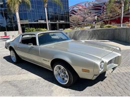 1973 Pontiac Firebird (CC-1673892) for sale in Cadillac, Michigan