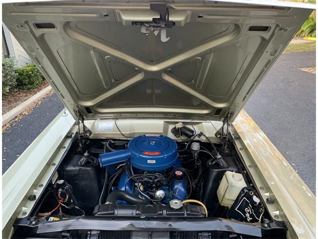 1966 Ford Fairlane (CC-1674069) for sale in Clearwater, Florida