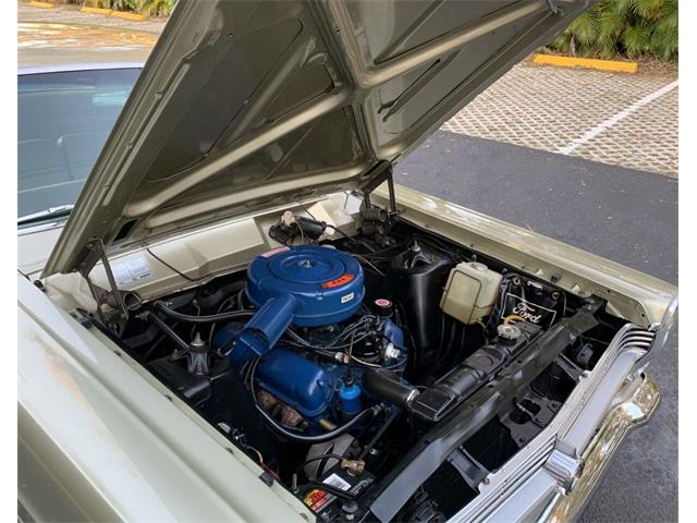1966 Ford Fairlane (CC-1674069) for sale in Clearwater, Florida
