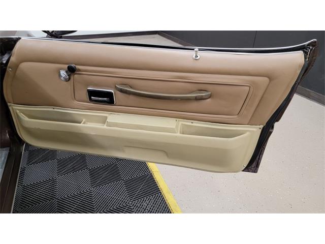 1977 Pontiac Firebird Trans Am (CC-1674277) for sale in Mankato, Minnesota