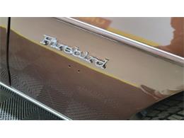 1977 Pontiac Firebird Trans Am (CC-1674277) for sale in Mankato, Minnesota