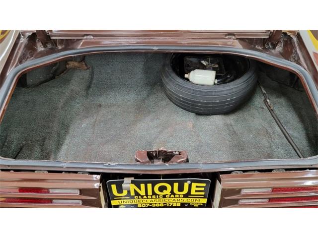 1977 Pontiac Firebird Trans Am (CC-1674277) for sale in Mankato, Minnesota