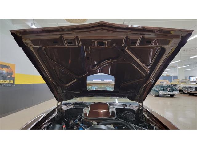1977 Pontiac Firebird Trans Am (CC-1674277) for sale in Mankato, Minnesota