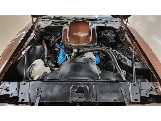 1977 Pontiac Firebird Trans Am (CC-1674277) for sale in Mankato, Minnesota