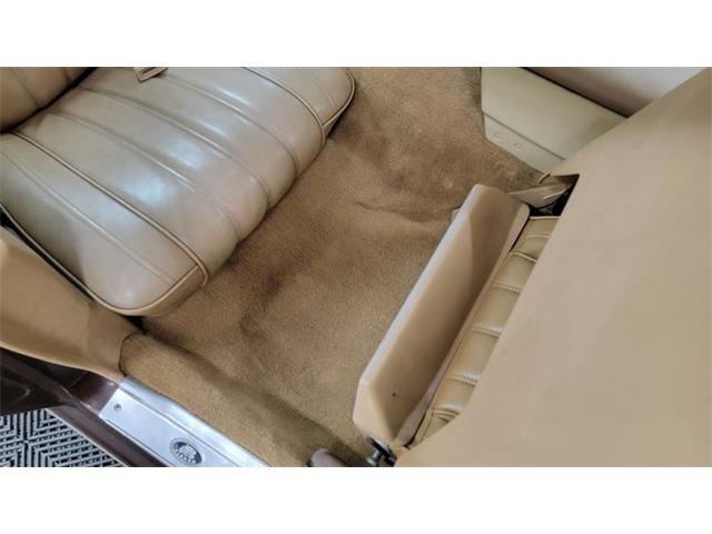 1977 Pontiac Firebird Trans Am (CC-1674277) for sale in Mankato, Minnesota