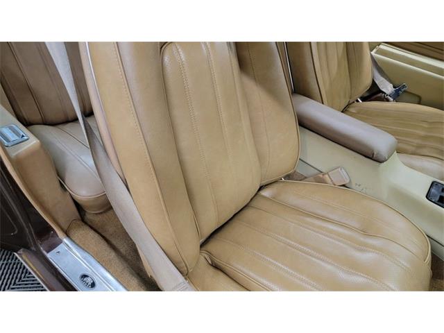 1977 Pontiac Firebird Trans Am (CC-1674277) for sale in Mankato, Minnesota