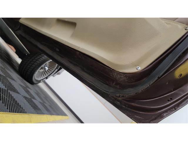 1977 Pontiac Firebird Trans Am (CC-1674277) for sale in Mankato, Minnesota