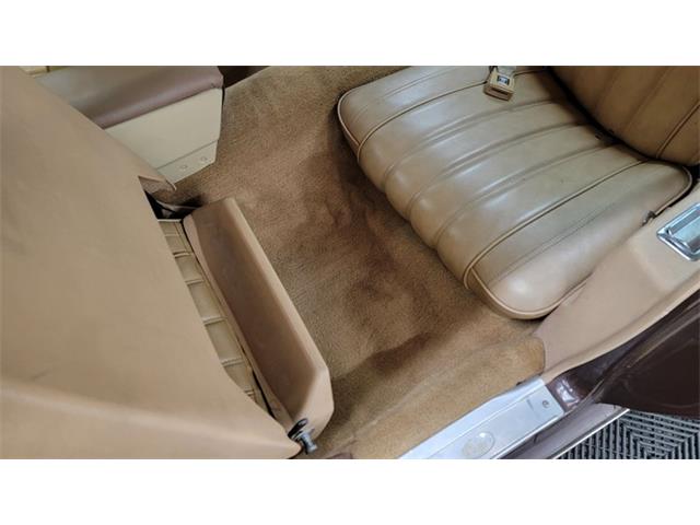1977 Pontiac Firebird Trans Am (CC-1674277) for sale in Mankato, Minnesota