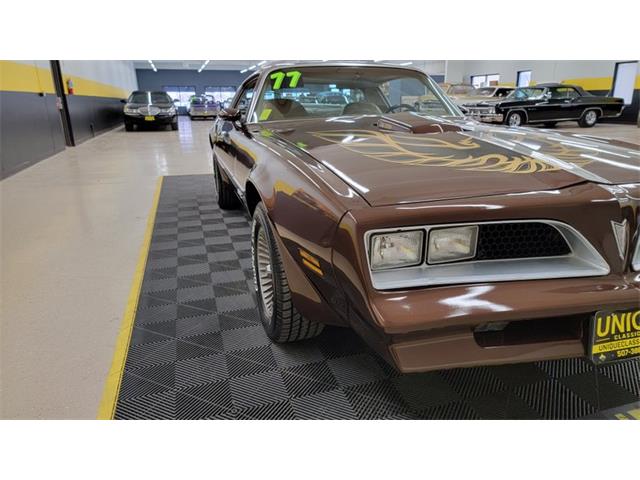 1977 Pontiac Firebird Trans Am (CC-1674277) for sale in Mankato, Minnesota