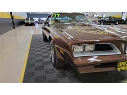 1977 Pontiac Firebird Trans Am (CC-1674277) for sale in Mankato, Minnesota
