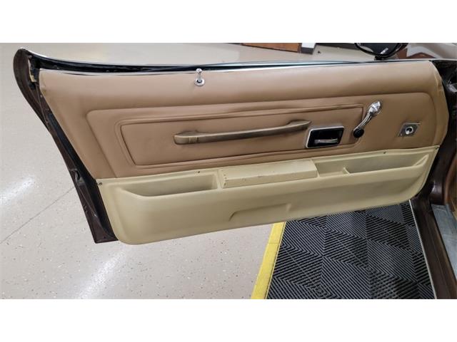 1977 Pontiac Firebird Trans Am (CC-1674277) for sale in Mankato, Minnesota