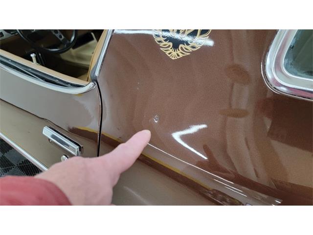 1977 Pontiac Firebird Trans Am (CC-1674277) for sale in Mankato, Minnesota