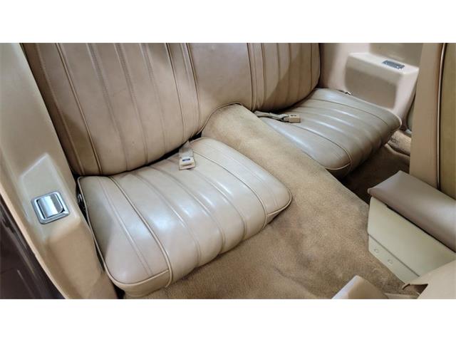 1977 Pontiac Firebird Trans Am (CC-1674277) for sale in Mankato, Minnesota