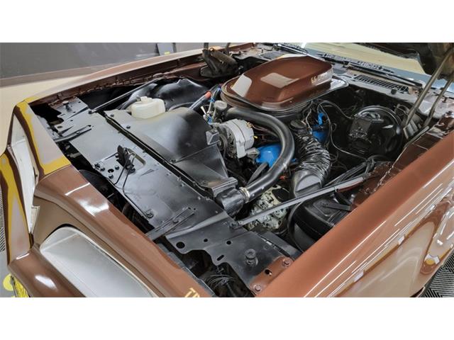 1977 Pontiac Firebird Trans Am (CC-1674277) for sale in Mankato, Minnesota