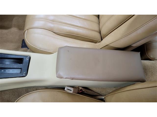 1977 Pontiac Firebird Trans Am (CC-1674277) for sale in Mankato, Minnesota