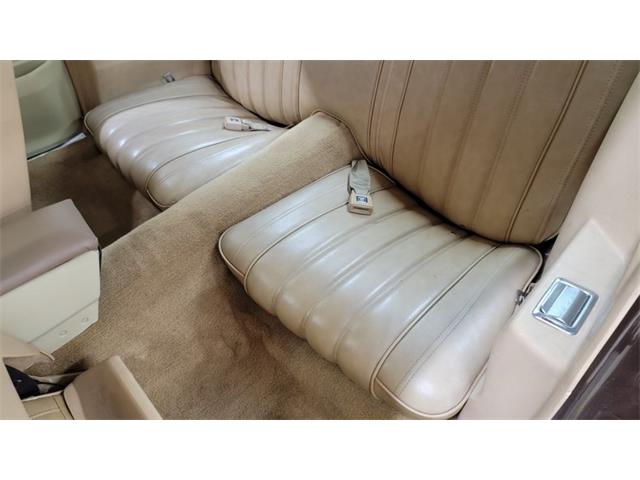 1977 Pontiac Firebird Trans Am (CC-1674277) for sale in Mankato, Minnesota