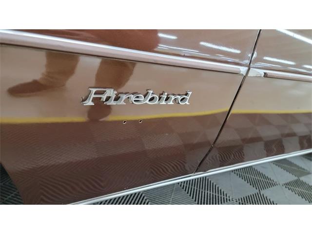 1977 Pontiac Firebird Trans Am (CC-1674277) for sale in Mankato, Minnesota