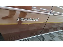 1977 Pontiac Firebird Trans Am (CC-1674277) for sale in Mankato, Minnesota