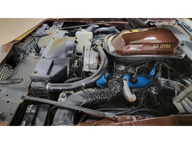 1977 Pontiac Firebird Trans Am (CC-1674277) for sale in Mankato, Minnesota