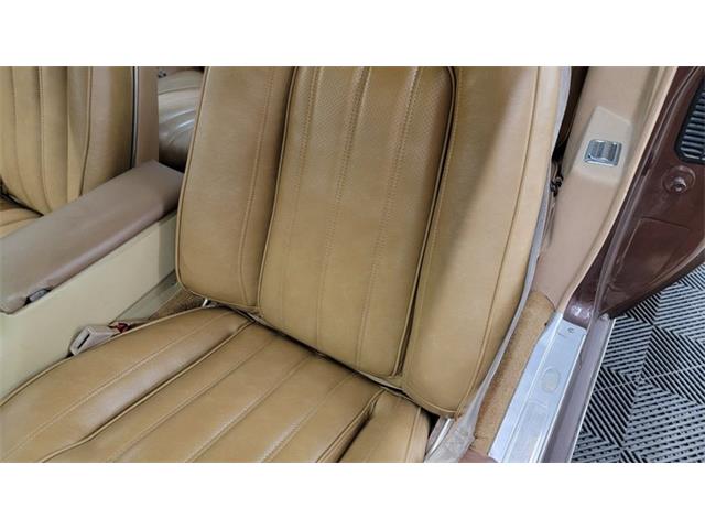 1977 Pontiac Firebird Trans Am (CC-1674277) for sale in Mankato, Minnesota