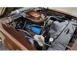 1977 Pontiac Firebird Trans Am (CC-1674277) for sale in Mankato, Minnesota